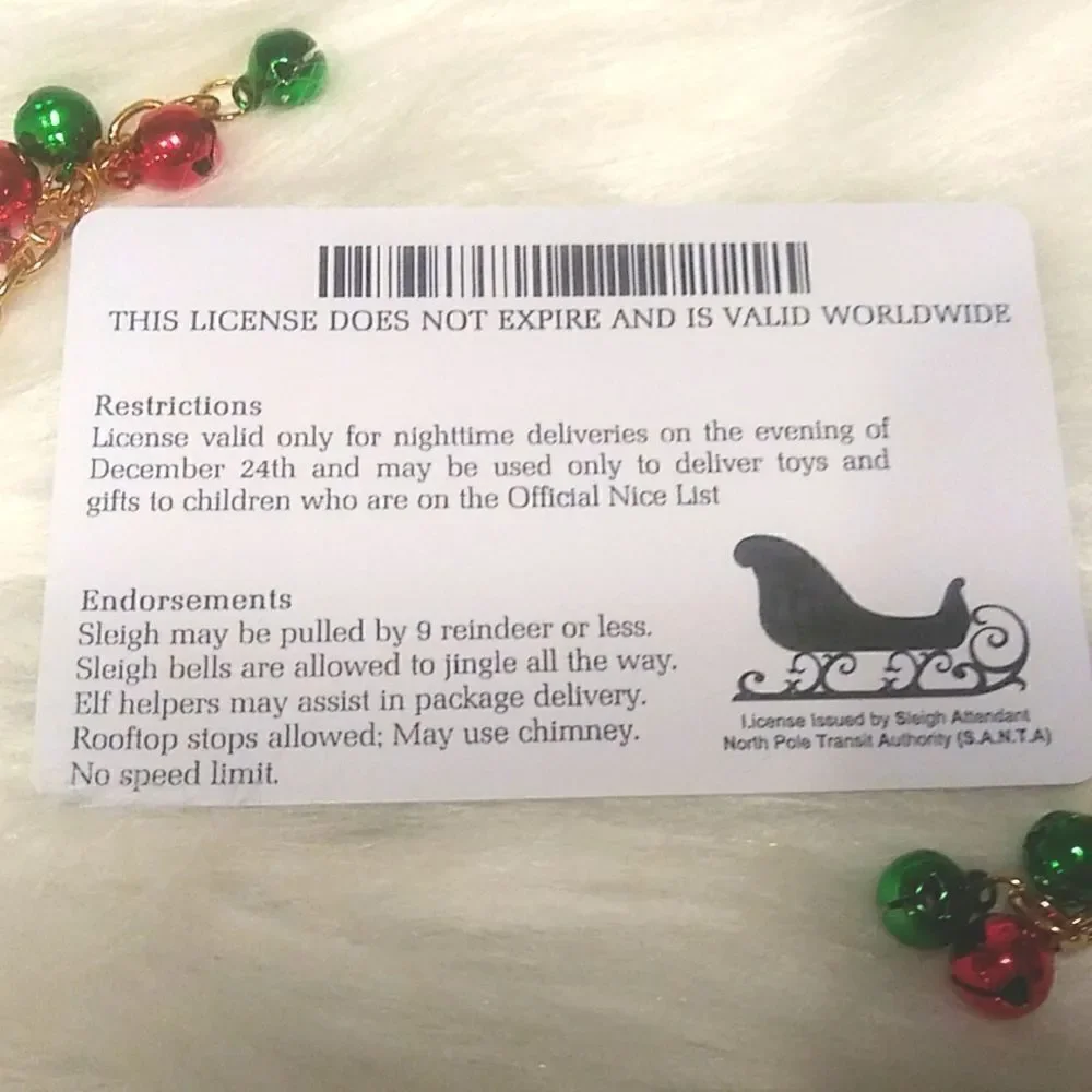 👋 SANTA CLAUS SLEIGH DRIVERS LICENSE kids novelty | Mix And Match 3/$20